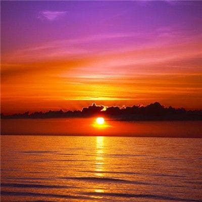 มิว นิษฐา avatar